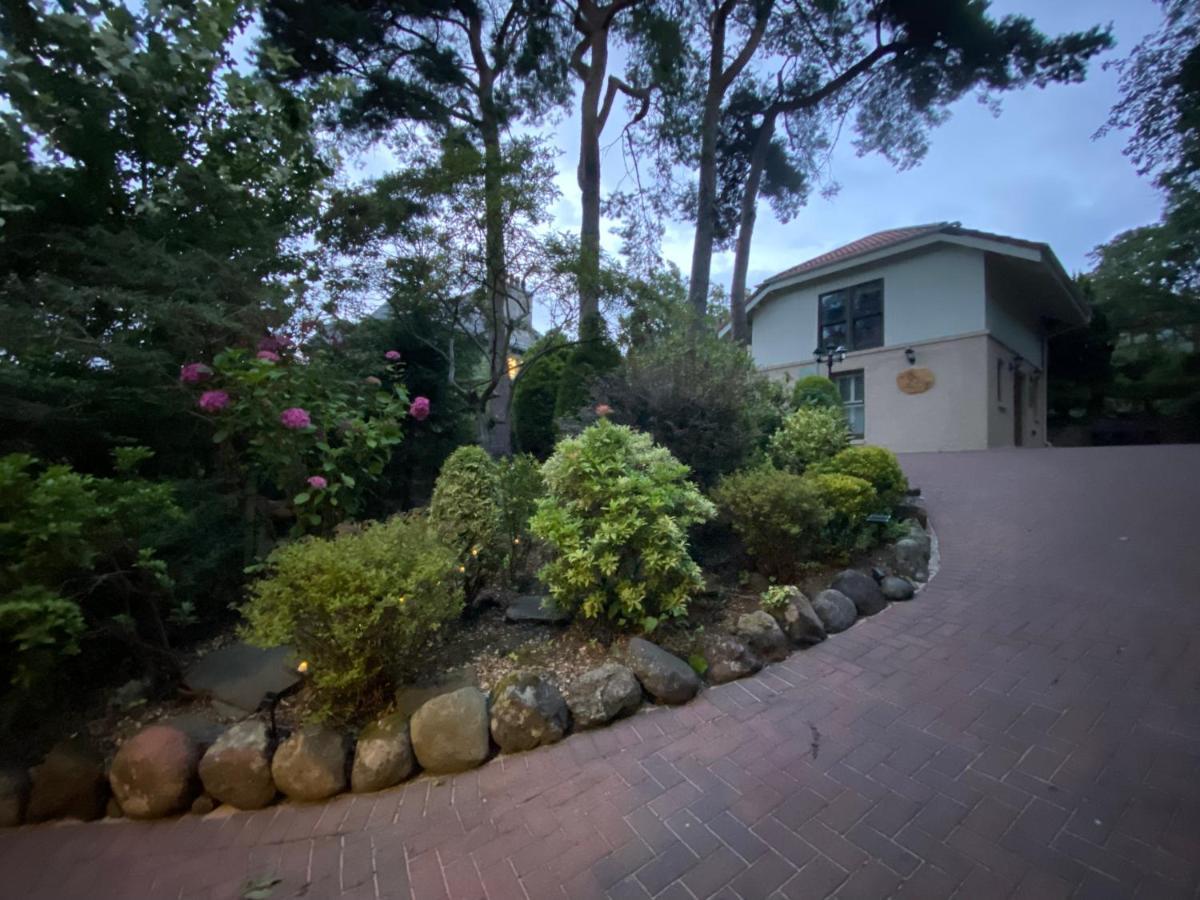Ailim House Serviced Cottage Escape, Around The Corner From The Old Course سانت أندروز المظهر الخارجي الصورة
